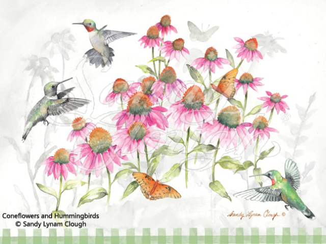 Coneflowers and Hummingbirds