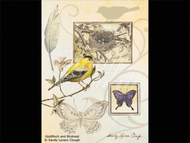 Gold Finch and Butterflies