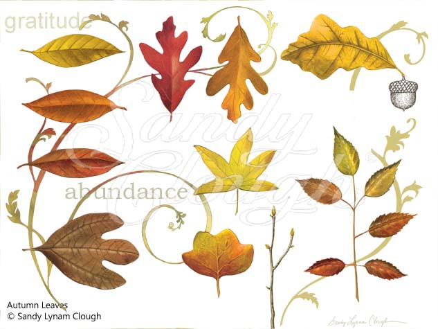 Autumn Leaves Art Story