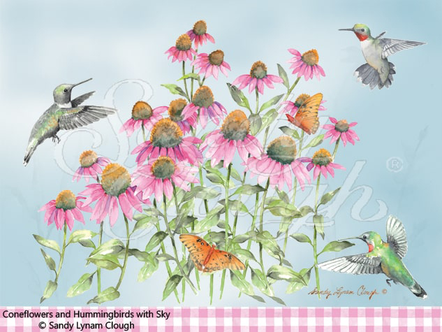 Coneflowers and Hummingbirds with sky