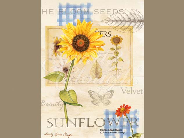 Heirloom Sunflower Vertical with Butterfly